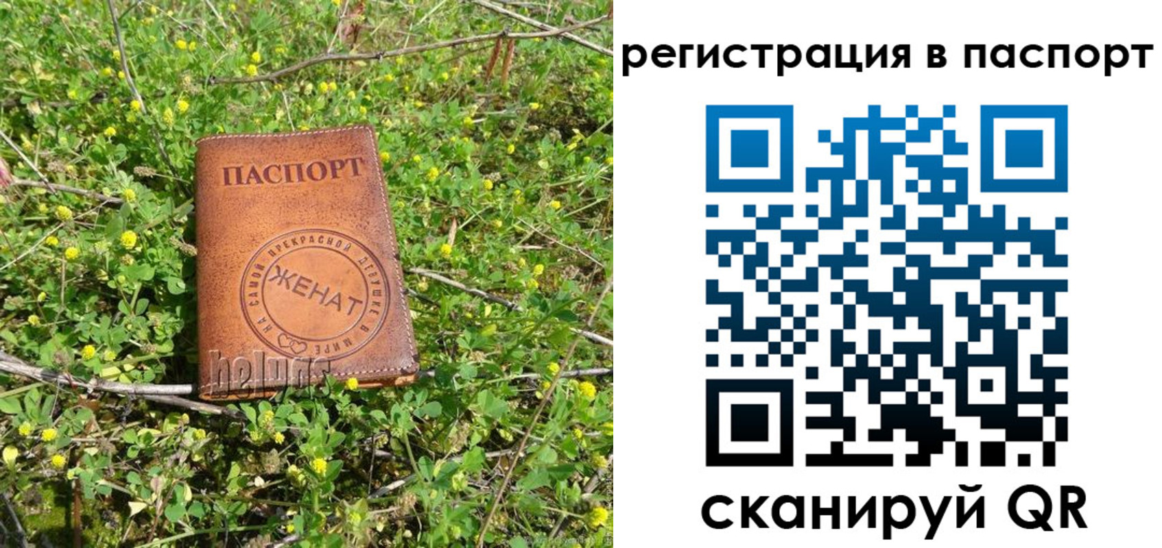 прописка законно в Киренске